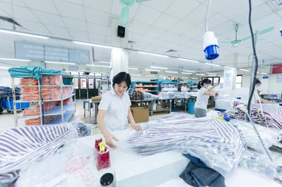 ILO's STED methodology fosters dialogue on skills needs in Viet Nam’s garment and textile sector ILO's STED methodology fosters dialogue on skills needs in Viet Nam’s garment and textile sector